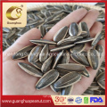 High Quality Sunflower Seeds From China